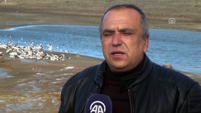 harekete gec - Devlet desteğiyle kaz çiftliği kurdu - ÇANKIRI  Videosu