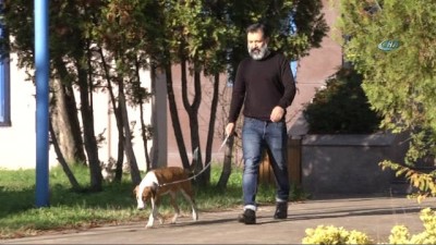 yasli cift -  Hayvan barınağından tiyatro sahnesine... Boncuk isimli köpek sahneye çıkıyor  Videosu