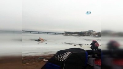 sosyal medya -  - Rus Genç Köpeği Boğulmaktan Kurtardı Videosu