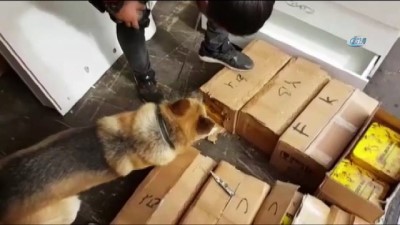 uyusturucu tacirleri -  Bal tenekelerinde 176 kilo eroin ele geçirildi  Videosu
