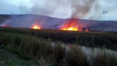 gocmen kus -  Hatay’da 8 dönüm sazlık alan kül oldu Videosu