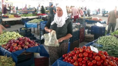  Domatesin merkezi Antalya’da domates pazarda 6 TL 