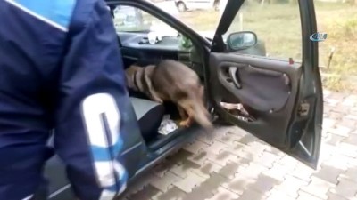 aston -  Tek ayaklı uyuşturucu taciri, narkotik köpeği 'Ece'ye yakalandı  Videosu