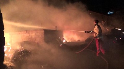 evde tek basina -  Antalya'da orman yangını Videosu