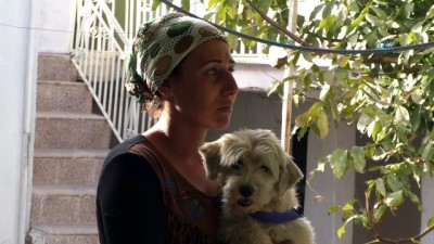  Antalya’da yangından, ’Cesur’ köpeğin kurtardığı aileye yardım eli 