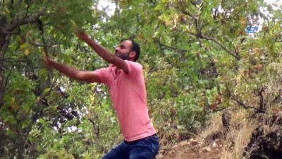 sonbahar -  Beytüşşebaplı köylülerin zorlu kış mesaisi başladı  Videosu