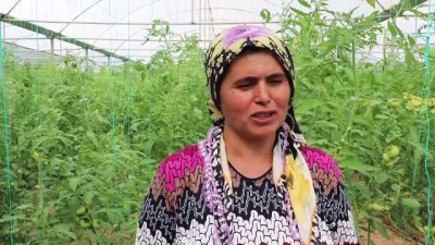 seruven - Seracı iş kadını hemcinslerine 'ışık' oldu - DENİZLİ  Videosu