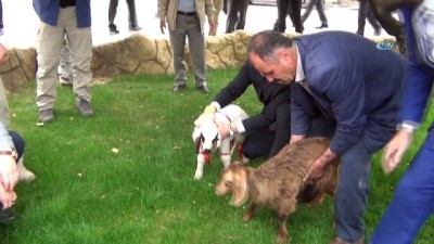 sut urunleri -  Tarım ve Orman Bakanı Pakdemirli Malatya’da Videosu