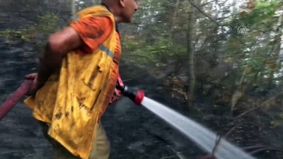 Yayladağı'nda orman yangını - HATAY