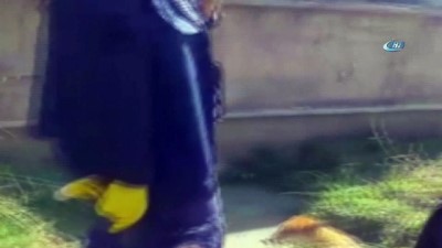  Balçığa saplanan köpeği itfaiye kurtardı 