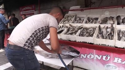 Şanlıurfa'da 'Orkinos balığı' şaşkınlığı