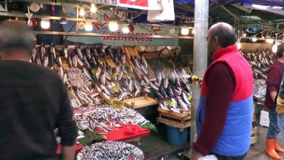 balik tezgahlari -  10 liraya satılan palamut, tavuğun pabucunu dama attı  Videosu