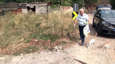 sili -  Birçok kişi öldürmeye, o yaşatmaya çalışıyor...Her gün 4 saatini sokak hayvanlarını beslemek için ayırıyor  Videosu