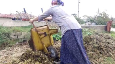 Çiftçi 'Feride Abla'nın azmi takdir topluyor (1) - KIRKLARELİ 