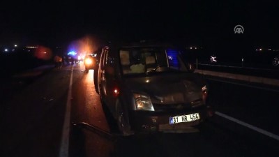 hastane - Hatay'da araçların çarptığı 13 keçi telef oldu  Videosu