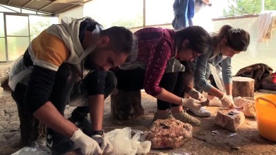 arkeoloji - İki Fransız araştırmacı kemik eşyaların izini sürüyor - BİLECİK  Videosu