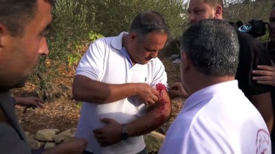 gaz bombasi -  - İsrail Askerleri 120 Öğrenciyi Yaraladı
- İsrail Filistin’de Okul Kapatınca Öğrenciler Protesto Düzenledi  Videosu