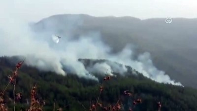 Orman yangını kontrol altına alındı - HATAY 