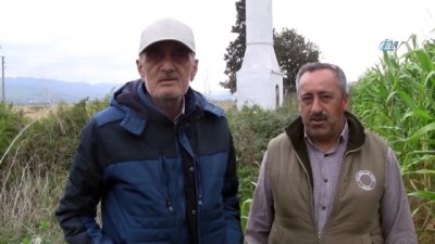 felaket -  Camisiz minare ilgi çekiyor  Videosu