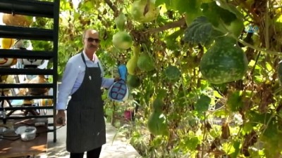ekince -  Emekli ziraatçı su kabaklarını sanat eserine dönüştürüyor  Videosu