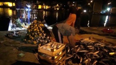 salar -  Palamut balıkçıların yüzünü güldürdü  Videosu