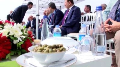 acilis toreni -  Safitürk’ün bir hayali daha gerçek oldu...Derik’te Zeytin Festivali düzenlendi Videosu
