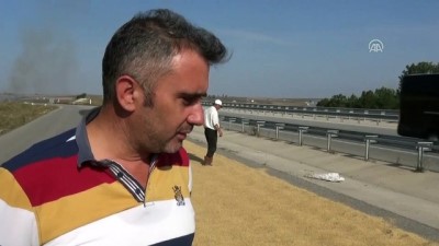 hava sicakligi - Çiftçi çeltiği kurutmak için 'yan yollara' giriyor - EDİRNE  Videosu