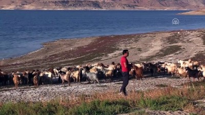 Çobanlık yaparak hayata tutundu - KAYSERİ 