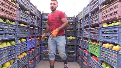 manipulasyon - Hal esnafının 'sıkı denetim' sevinci - ŞANLIURFA  Videosu