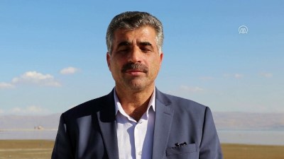 inci kefali - Göl suları çekilince adacık ortaya çıktı - VAN  Videosu