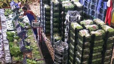 enflasyon - Muz üreticilerinden enflasyonla mücadeleye destek - MERSİN  Videosu