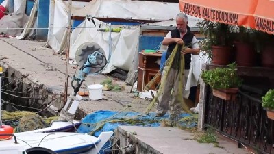 Sofralarda palamudun yerini 'istavrit' almaya başladı - TEKİRDAĞ