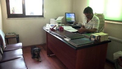 hayvan sevgisi - Yeni mahalle muhtarlığı 61 yıldır aynı aileye emanet - TRABZON  Videosu