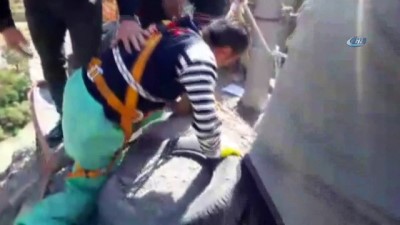  150 metrede mahsur kalan köpeği kurtarma operasyonu kamerada 