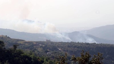Hatay'da orman yangını
