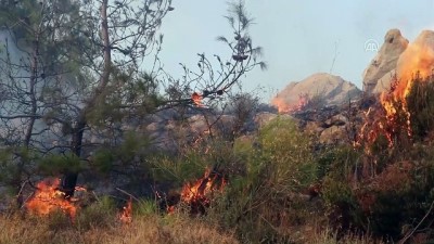 Hatay'daki orman yangını (2)