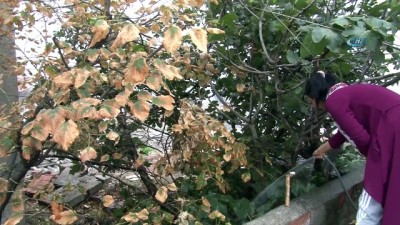  Metruk binada çıkan yangına vatandaş hortumla müdahale etti