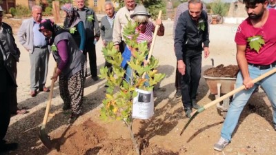 Sanatçı köyünde Ara Güler için çınar ağacı - KONYA