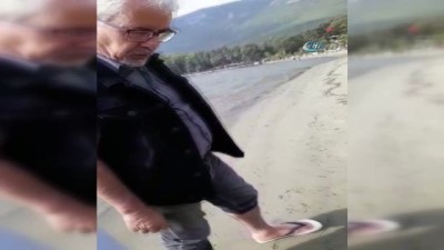  Ters akıma kapılıp telef olan milyonlarca arı sahile vurdu 