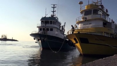 balik bereketi - Batı Karadeniz'de balık bereketi - DÜZCE Videosu
