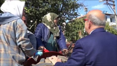 kadilar -  İznik’te üretilen kabaklar yurt dışına ihraç ediliyor  Videosu