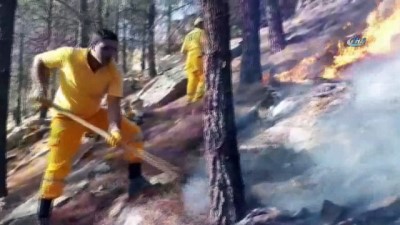  Ormanlık alan 14'üncü kez yandı