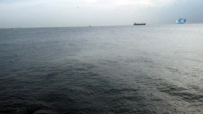 yunuslar -  Sevimli yunuslar İstanbul Boğazı’nda görsel şölen sundu  Videosu