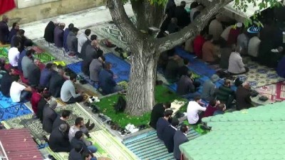 namaz vakti -  Cami bahçesindeki asırlık ceviz ağacı  Videosu