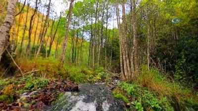 sonbahar -  Giresun’da sonbaharın büyüsü  Videosu
