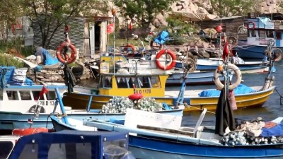 muhabir - Doğu Karadenizli balıkçılar hamsiden umutlu değil - GİRESUN  Videosu
