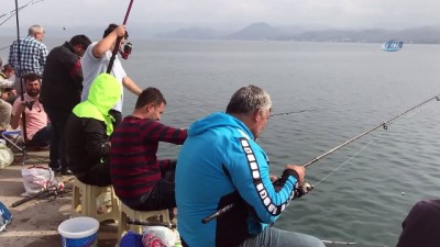  Amatör balıkçıların çinekop avı 