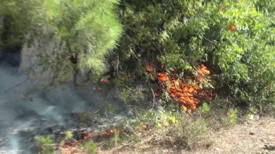 orman yangini -  Antalya’da orman yangını Videosu