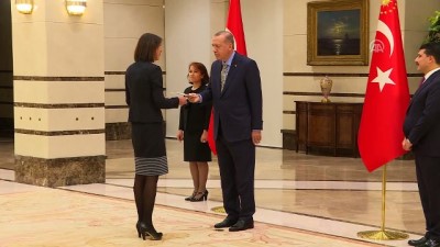 Hollanda Büyükelçisi De Kwaasteniet, Cumhurbaşkanı Erdoğan'a güven mektubunu sundu - ANKARA