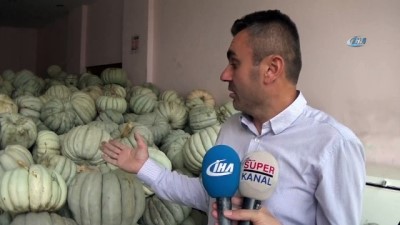 uzun omur -  Kestane kabağı çiftçinin yüzünü güldürdü  Videosu